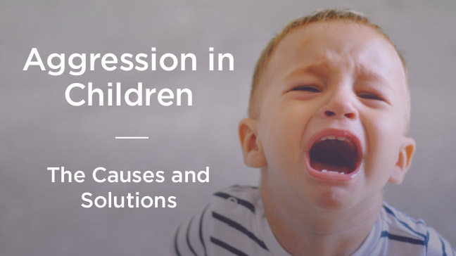 Aggression in Children: Causes and Solutions