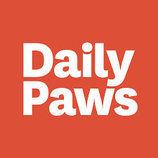 daily paws logo